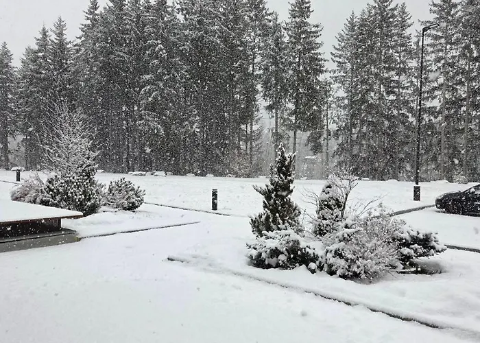 Aparthotel Maison Poluc - Petit Bijou Champoluc